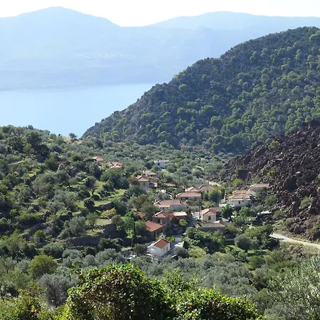 In In Kalloni Direkt Am